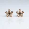 Shimmer Bloom Studs